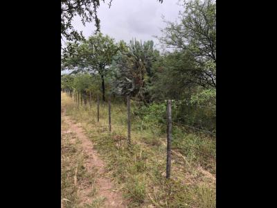 Campos Fincas Chacras Venta Santiago Del Estero INMOBILIARIA SUMA VENDE CAMPO APTO PARA GANADERA EN REMES - DEPARTAMENTO CAPITAL